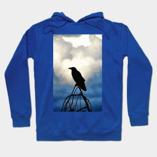 The Crow Hoodie